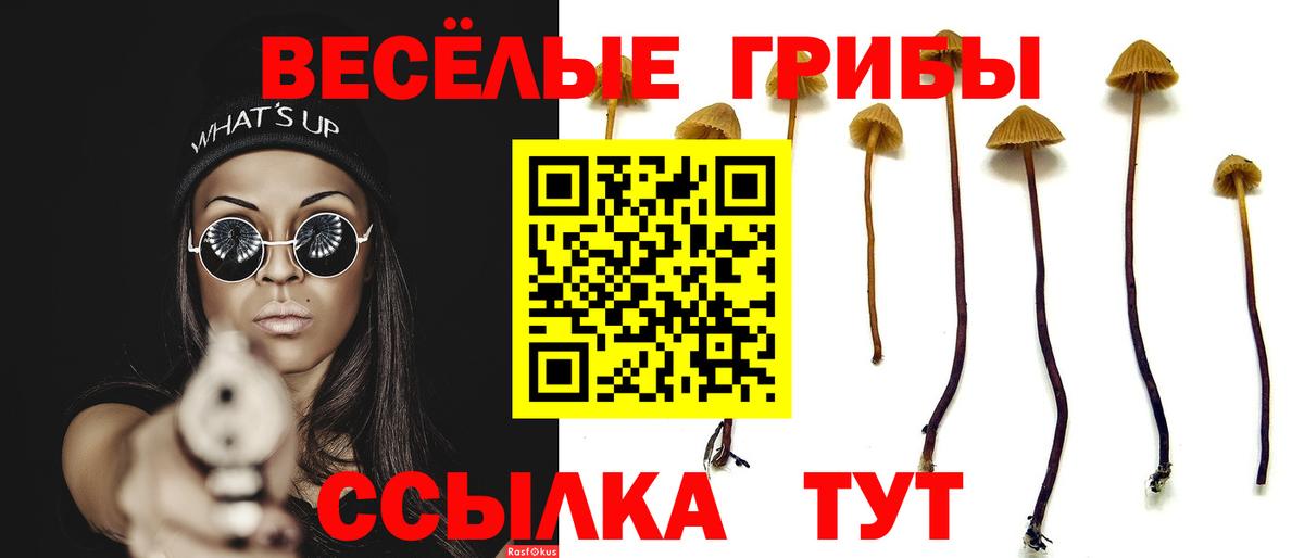Псилоцибиновые грибы MAGIC MUSHROOMS  Псилоцибиновые грибы мицелий  Севастополь  купить закладку  Вход с VPN 